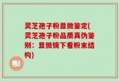灵芝孢子粉显微鉴定(灵芝孢子粉品质真伪鉴别：显微镜下看粉末结构)