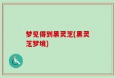 梦见得到黑灵芝(黑灵芝梦境)