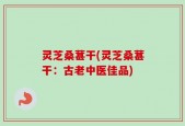 灵芝桑葚干(灵芝桑葚干：古老中医佳品)