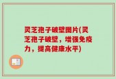 灵芝孢子破壁图片(灵芝孢子破壁，增强免疫力，提高健康水平)