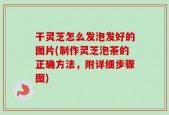 干灵芝怎么发泡发好的图片(制作灵芝泡茶的正确方法，附详细步骤图)