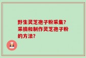 野生灵芝孢子粉采集？采摘和制作灵芝孢子粉的方法？