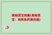 贵阳灵芝效果(贵阳灵芝：功效及药用价值)