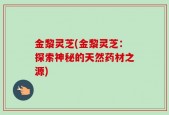 金黎灵芝(金黎灵芝：探索神秘的天然药材之源)