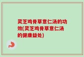 灵芝鸡骨草意仁汤的功效(灵芝鸡骨草意仁汤的健康益处)