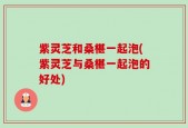 紫灵芝和桑椹一起泡(紫灵芝与桑椹一起泡的好处)