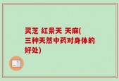 灵芝 红景天 天麻(三种天然中药对身体的好处)