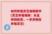 如何养殖灵芝视频教学(灵芝养殖视频：从选种到收获，一步步教你养殖灵芝)