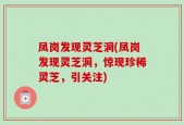 凤岗发现灵芝洞(凤岗发现灵芝洞，惊现珍稀灵芝，引关注)