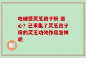 吃破壁灵芝孢子粉 恶心？已采集了灵芝孢子粉的灵芝功效作用怎样呢