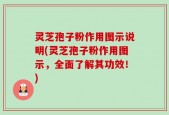灵芝孢子粉作用图示说明(灵芝孢子粉作用图示，全面了解其功效！)