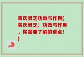 黄氏灵芝功效与作用(黄氏灵芝：功效与作用，你需要了解的重点！)