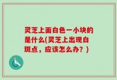 灵芝上面白色一小块的是什么(灵芝上出现白斑点，应该怎么办？)