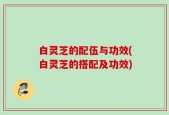 白灵芝的配伍与功效(白灵芝的搭配及功效)