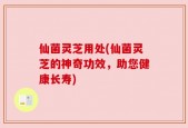 仙菌灵芝用处(仙菌灵芝的神奇功效，助您健康长寿)