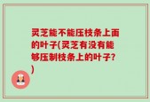 灵芝能不能压枝条上面的叶子(灵芝有没有能够压制枝条上的叶子？)