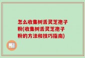 怎么收集树舌灵芝孢子粉(收集树舌灵芝孢子粉的方法和技巧指南)