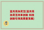 蓝月亮孙灵芝(蓝月亮孙灵芝改革创新 科技创新引领高质量发展)