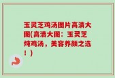 玉灵芝鸡汤图片高清大图(高清大图：玉灵芝炖鸡汤，美容养颜之选！)