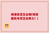 明港采灵芝去哪(明港居民寻灵芝去哪儿？)
