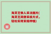 海灵芝懒人采法图片(海灵芝简便采摘方式，轻松实现家庭种植)