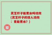 灵芝杆子能煮水吗功效(灵芝杆子的惊人功效：竟能煮水？)