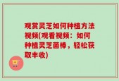 观赏灵芝如何种植方法视频(观看视频：如何种植灵芝菌棒，轻松获取丰收)