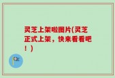 灵芝上架啦图片(灵芝正式上架，快来看看吧！)