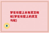梦见石壁上长有灵芝和蛇(梦见石壁上的灵芝与蛇)