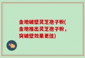 金地破壁灵芝孢子粉(金地推出灵芝孢子粉，突破壁效果更佳)