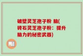 破壁灵芝孢子粉 脑(砖石灵芝孢子粉：提升脑力的秘密武器)