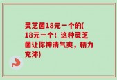 灵芝菌18元一个的(18元一个！这种灵芝菌让你神清气爽，精力充沛)