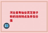 河北省寿仙谷灵芝孢子粉的功效特点及养生价值
