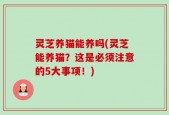灵芝养猫能养吗(灵芝能养猫？这是必须注意的5大事项！)