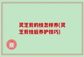 灵芝剪的枝怎样养(灵芝剪枝后养护技巧)