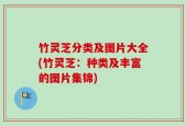 竹灵芝分类及图片大全(竹灵芝：种类及丰富的图片集锦)