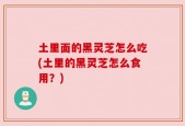 土里面的黑灵芝怎么吃(土里的黑灵芝怎么食用？)