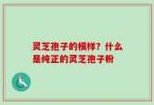 灵芝孢子的模样？什么是纯正的灵芝孢子粉