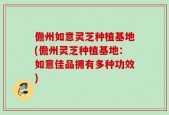 儋州如意灵芝种植基地(儋州灵芝种植基地：如意佳品拥有多种功效)