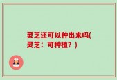 灵芝还可以种出来吗(灵芝：可种植？)