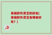 采摘野外灵芝的好处(采摘野外灵芝有哪些好处？)