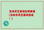 玉林灵芝基地在哪里建(玉林市灵芝基地落成！)