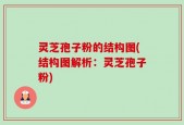 灵芝孢子粉的结构图(结构图解析：灵芝孢子粉)