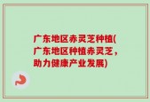 广东地区赤灵芝种植(广东地区种植赤灵芝，助力健康产业发展)