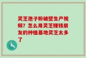 灵芝孢子粉破壁生产视频？怎么用灵芝赚钱朋友的种植基地灵芝太多了