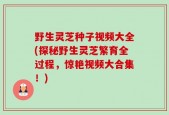 野生灵芝种子视频大全(探秘野生灵芝繁育全过程，惊艳视频大合集！)