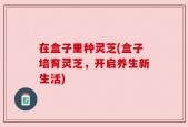 在盒子里种灵芝(盒子培育灵芝，开启养生新生活)