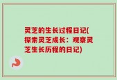 灵芝的生长过程日记(探索灵芝成长：观察灵芝生长历程的日记)
