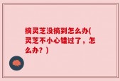 摘灵芝没摘到怎么办(灵芝不小心错过了，怎么办？)