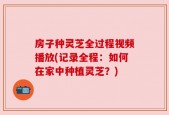 房子种灵芝全过程视频播放(记录全程：如何在家中种植灵芝？)